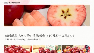 藤崎冷蔵HP