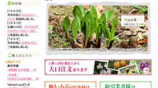 紫葉園