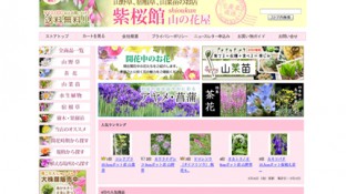 紫桜館 山の花屋 Yahoo!ショッピング